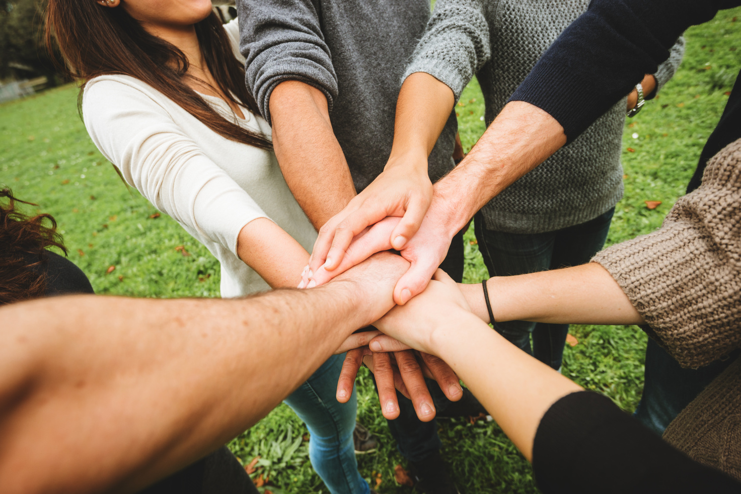 Group of teenagers volunteer